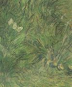Vincent Van Gogh Two White Butterflies (nn04) Spain oil painting artist